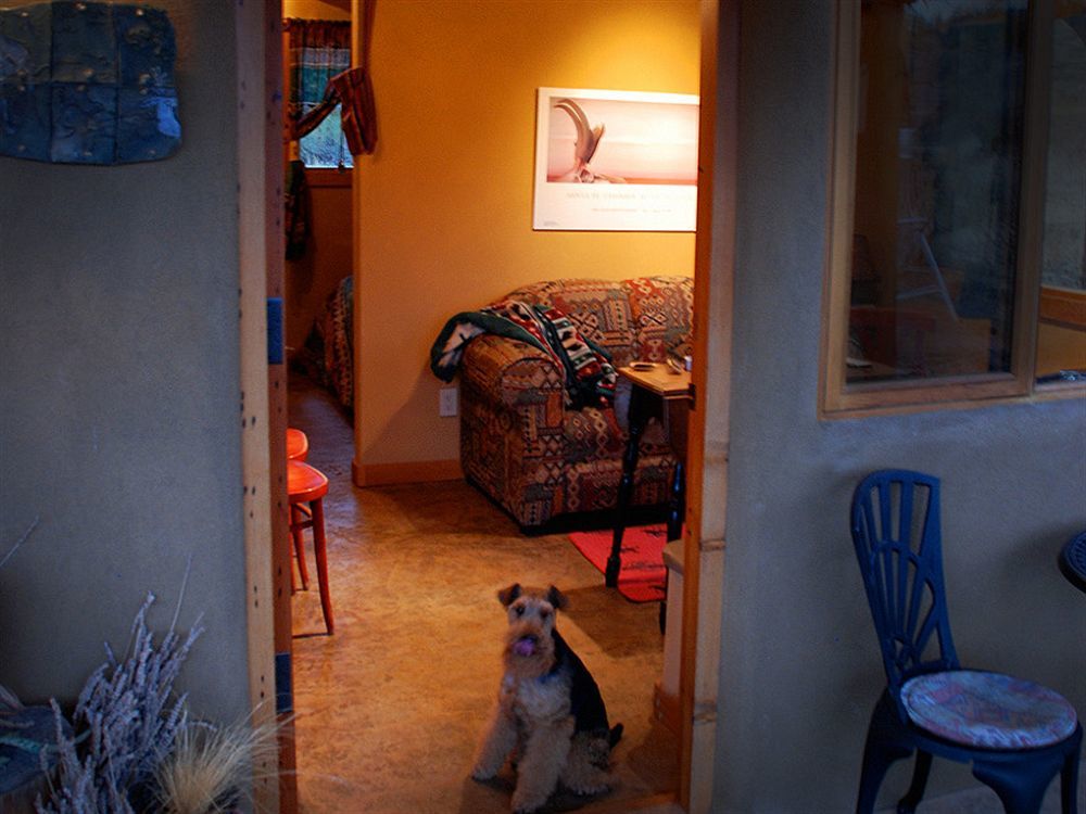 Bighorn Ridge Guesthouse Okanagan Falls ภายนอก รูปภาพ
