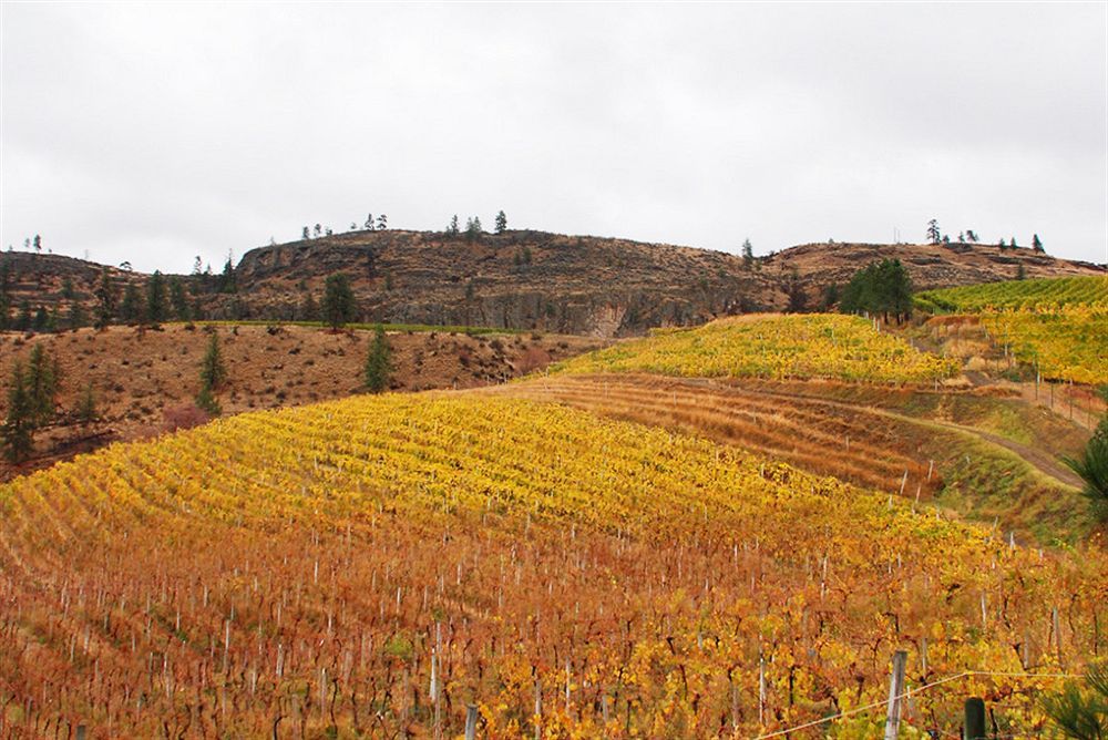 Bighorn Ridge Guesthouse Okanagan Falls ภายนอก รูปภาพ