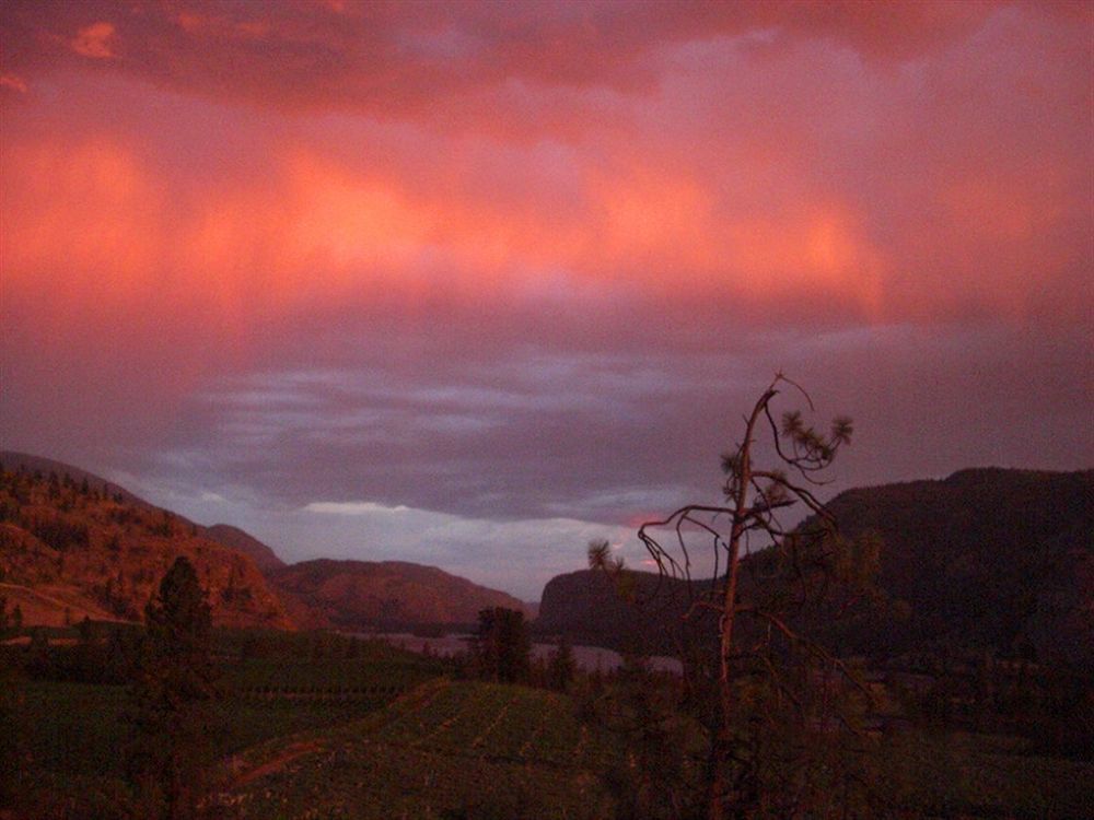 Bighorn Ridge Guesthouse Okanagan Falls ภายนอก รูปภาพ