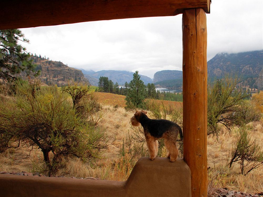 Bighorn Ridge Guesthouse Okanagan Falls ภายนอก รูปภาพ